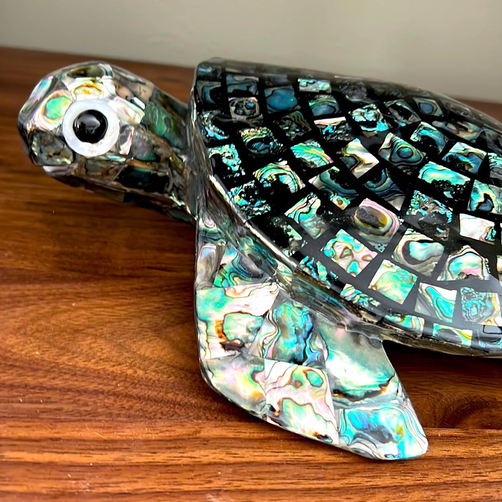 Abalone turtle